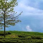 Nyaraló Family-friendly Forest Altenfeld