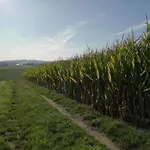 Nyaraló Family-friendly Forest Altenfeld