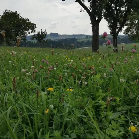 Appealing In With Terrace Altenfeld (Thuringia)