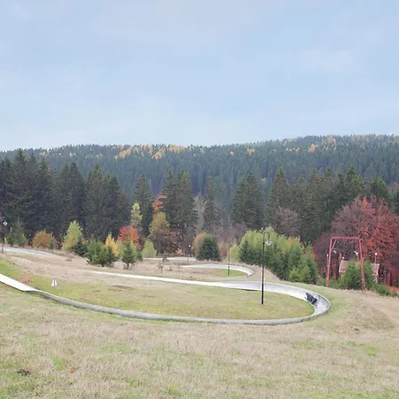 Family-friendly Forest *