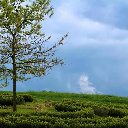 Ferienhaus Family-friendly Forest Altenfeld (Thuringia)