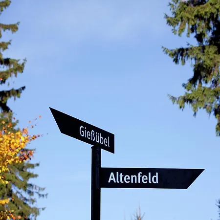 Family-friendly Forest