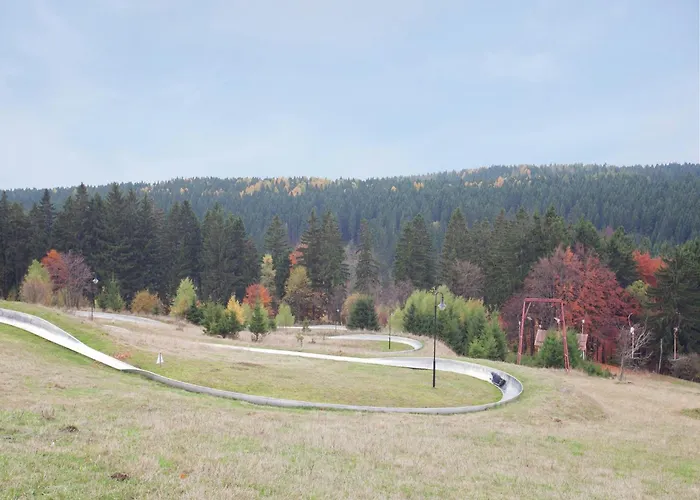 Family-friendly Forest *