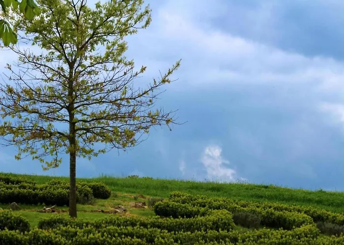 度假居 Family-friendly Forest Altenfeld (Thuringia)