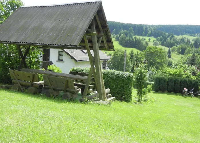 Family-friendly Forest *