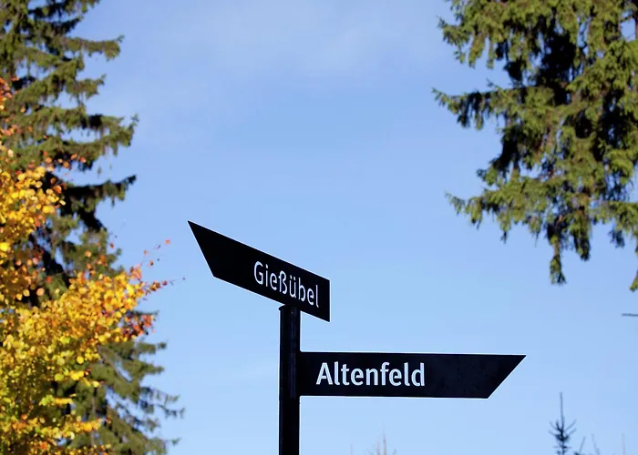 Family-friendly Forest