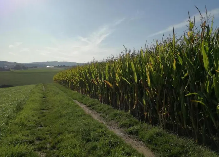 度假居 Family-friendly Forest Altenfeld (Thuringia)