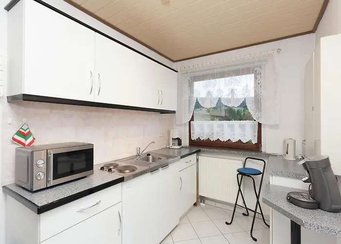 Family-friendly Forest *