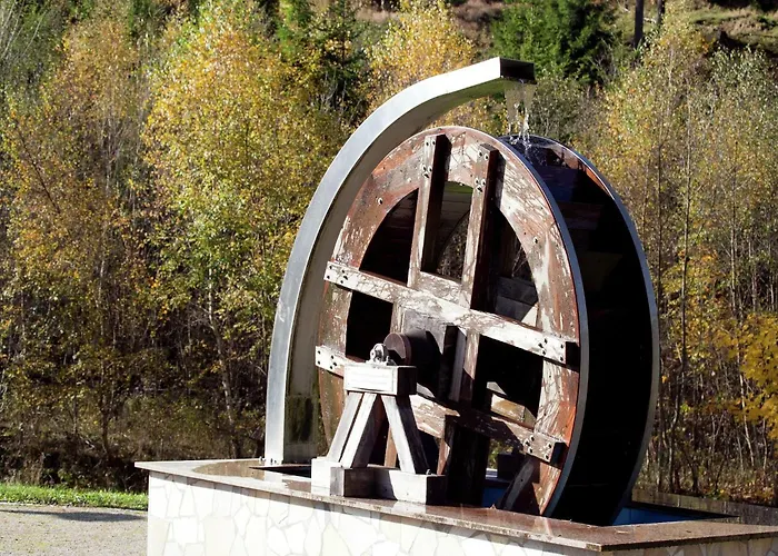 Family-friendly Forest